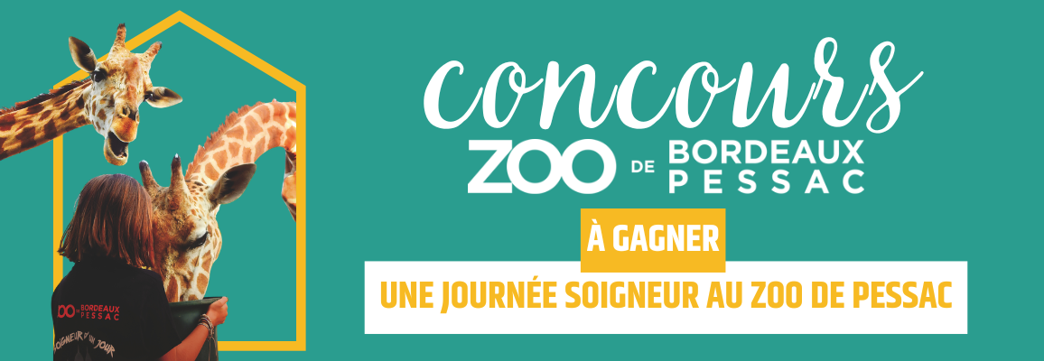 Concours : gagnez une journée Soigneur d’un jour au Zoo de Bordeaux Pessac